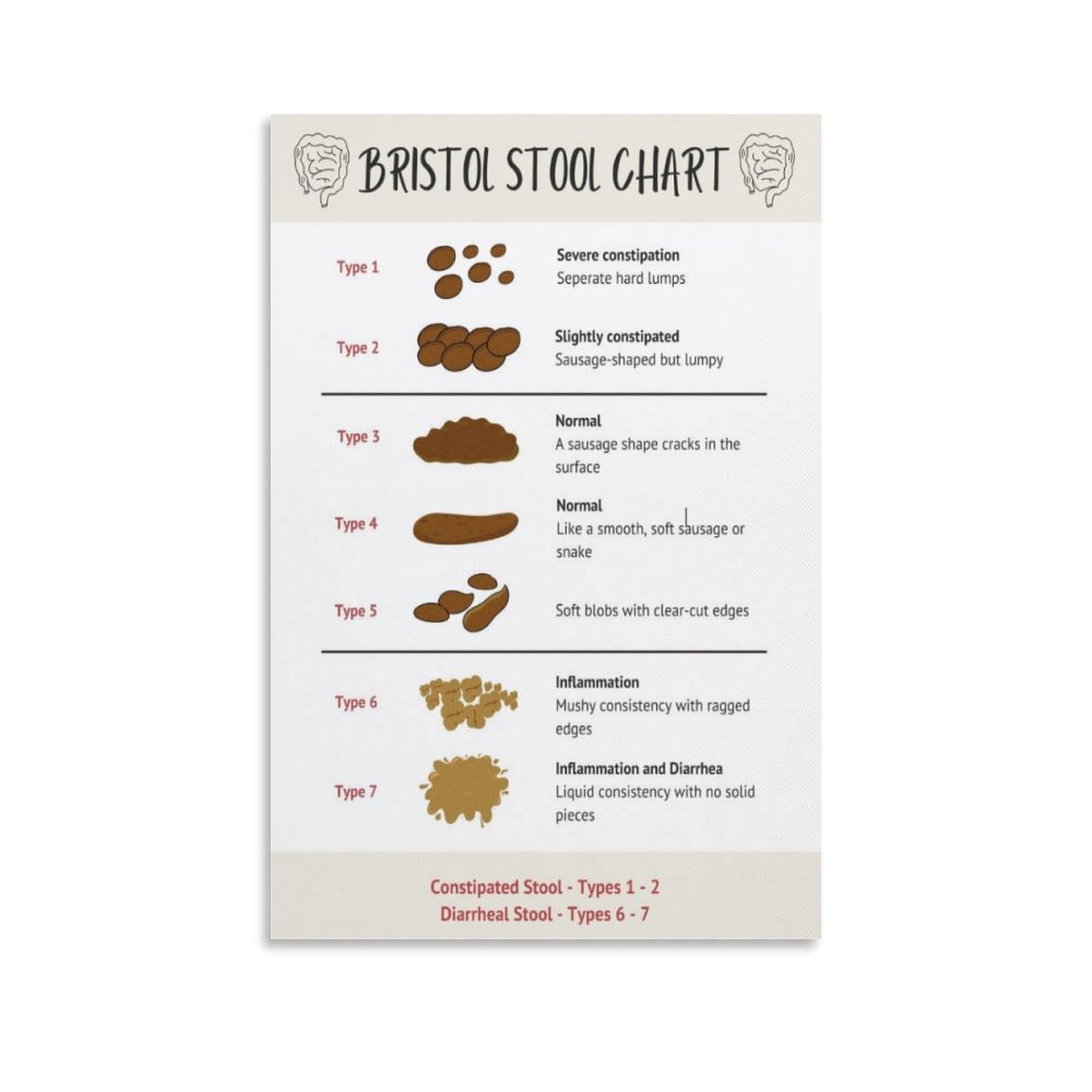 Amazon Bristol Stool Chart Poster Healthy Poop Bowel Movement Education Art Wall Decoration Canvas Print Modern Family Bedroom Decor 24x36 Posters Prints