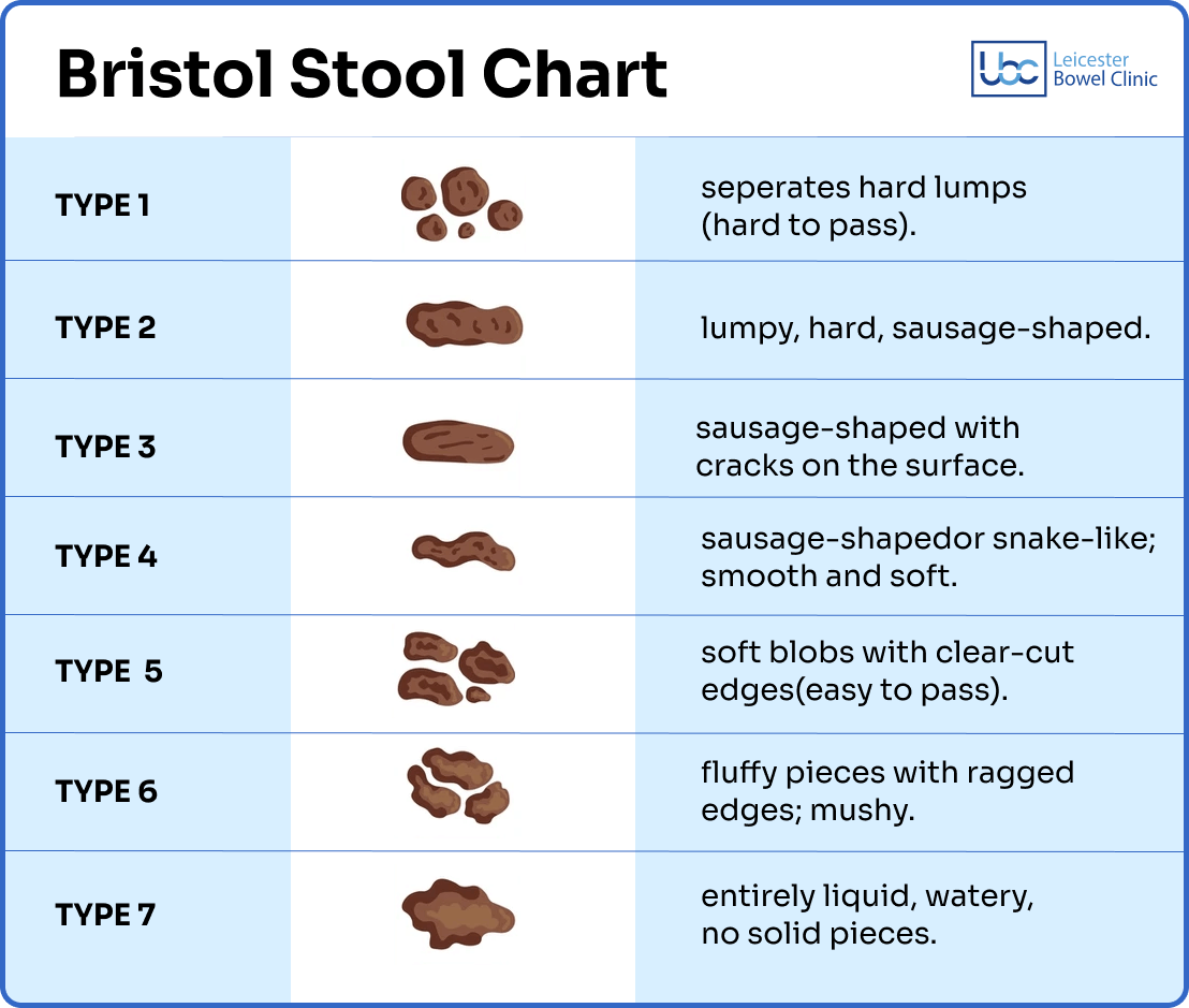 Bristol Stool Chart Types Of Poop And Their Meanings