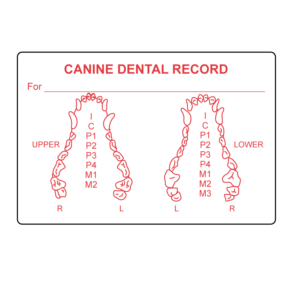 Canine Dental Label Nev s Ink Inc Canine Dental Label Nev s Ink Inc