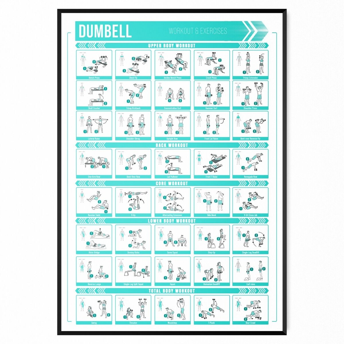 Dumbbell Workout Chart Fitness Training Chart Exercise Poster Print A5 A1 EBay