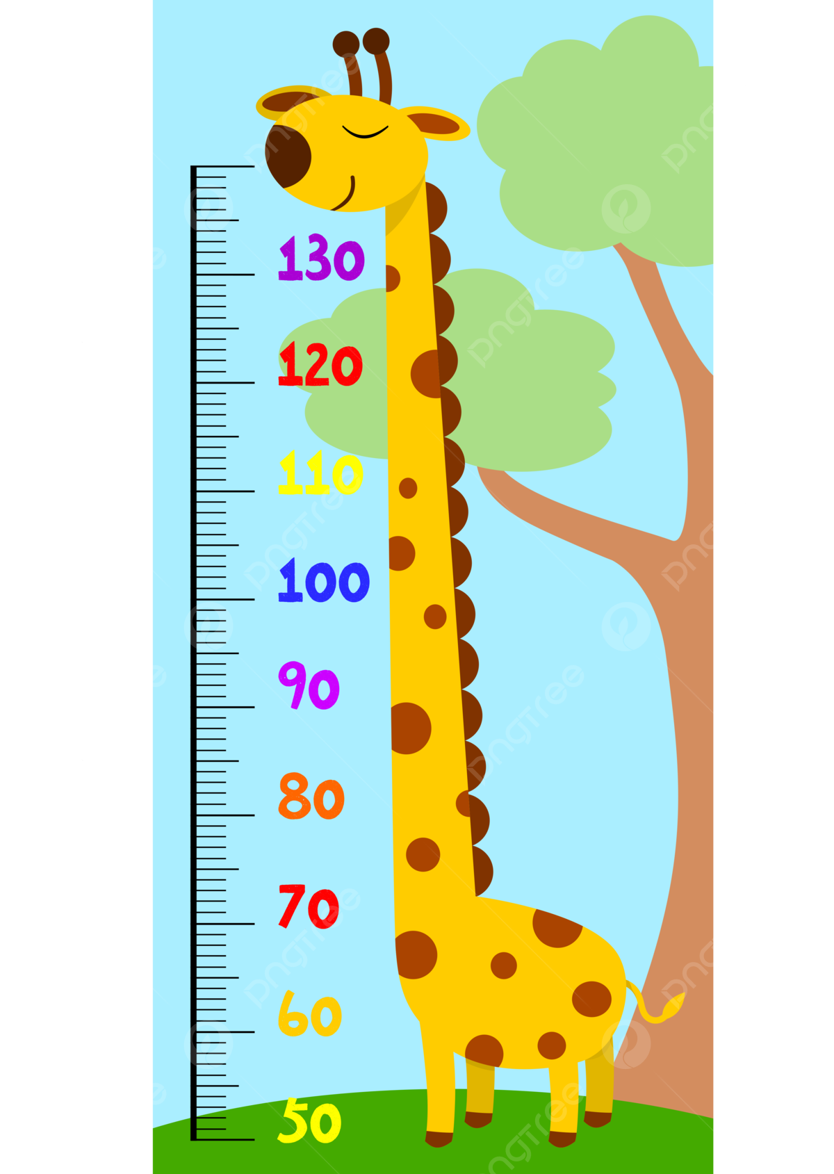 Printable Height Chart