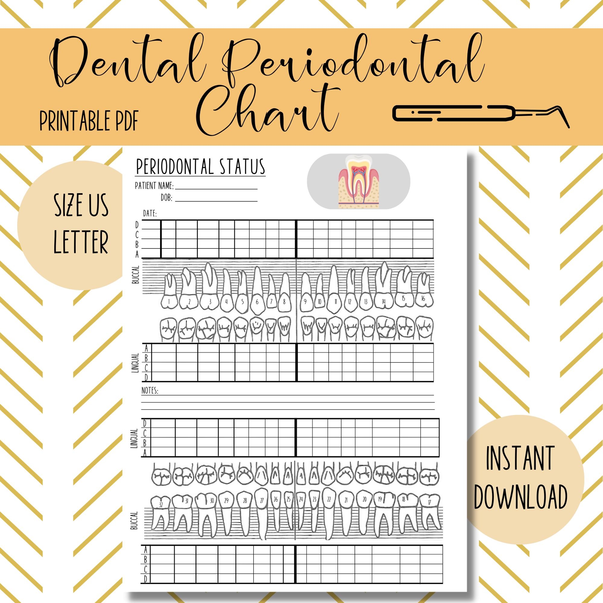 Periodontal Chart For Dentist Office Etsy UK
