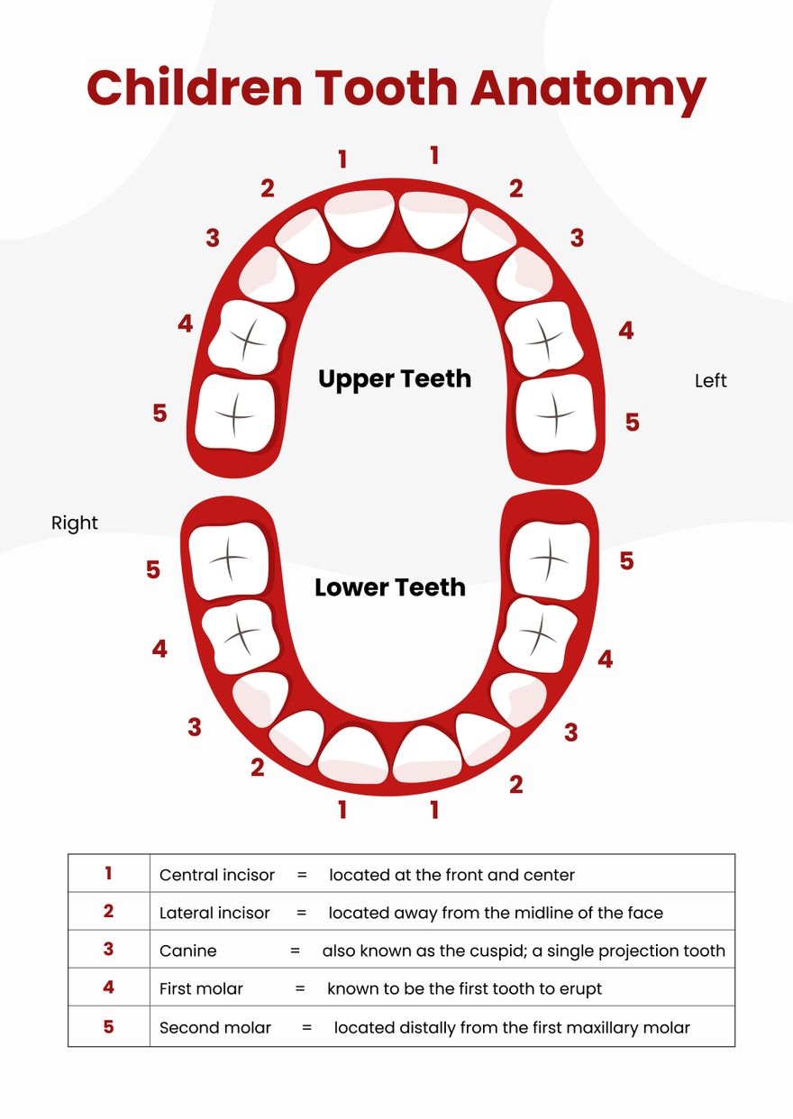 Dental Chart Printable